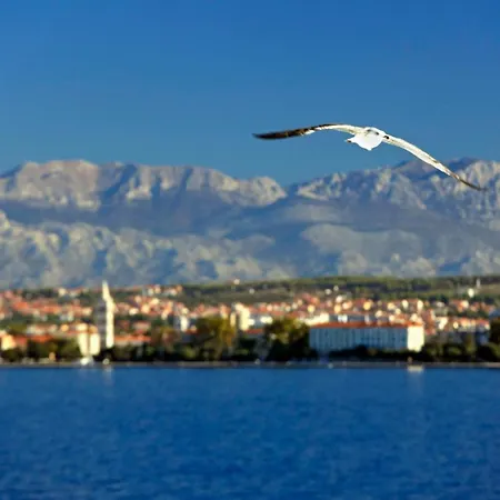 Apartament Kuki With Balcony Zadar