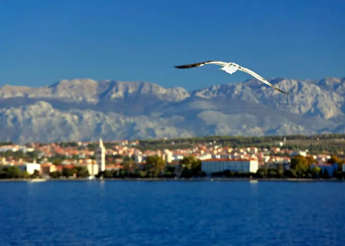 Apartamento Kuki With Balcony Zadar
